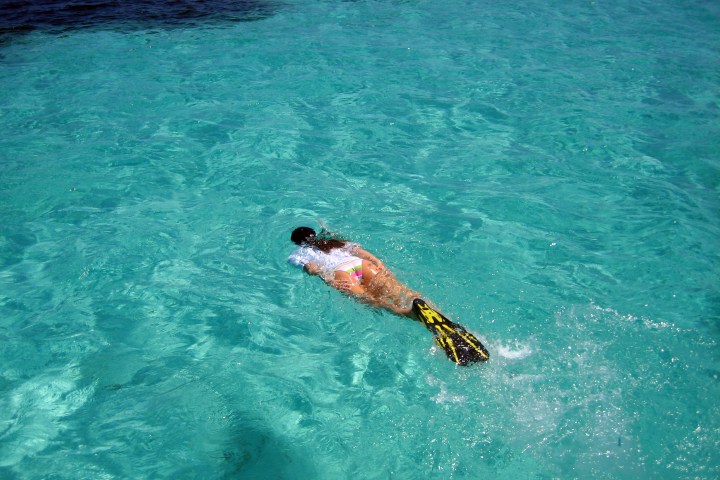 a bird swimming in water