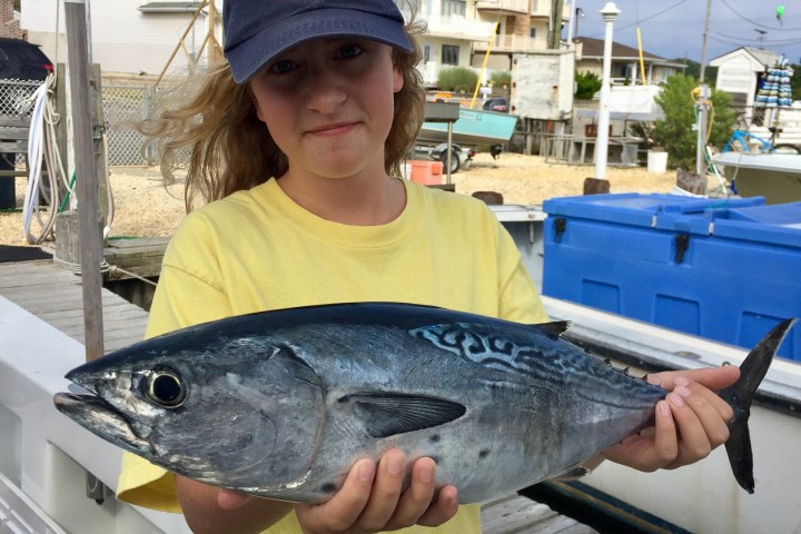 a person holding a fish