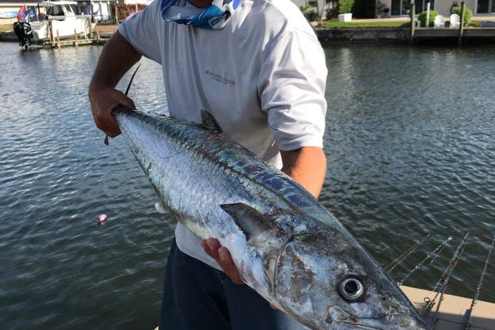 a man holding a fish in the water